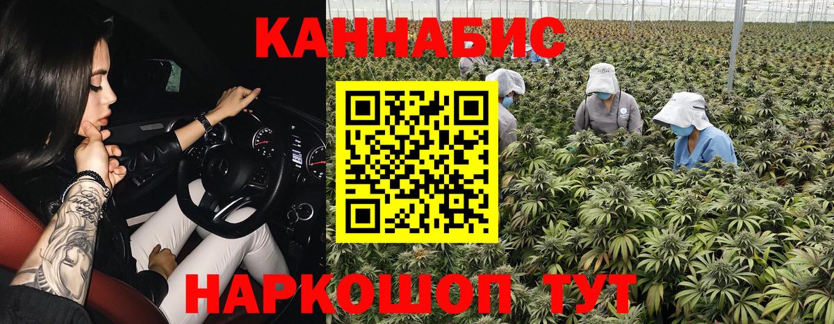 Кореновск  Бошки марихуана конопля  Конопля Amnesia  Вход с VPN 